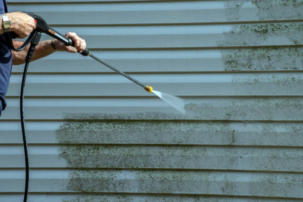 Best Patio and Deck Pressure Washing  in Dillon, SC